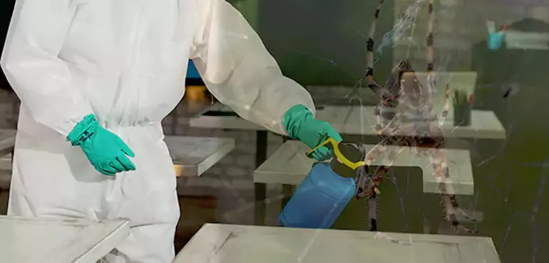 Why Buyers Still Want Homes With Pest Infestations in Kansas, KS?