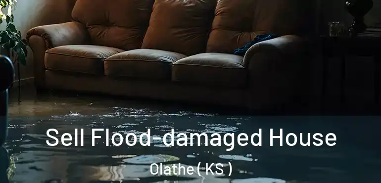  Sell Flood-damaged House Olathe ( KS )