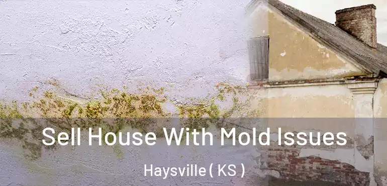  Sell House With Mold Issues Haysville ( KS )