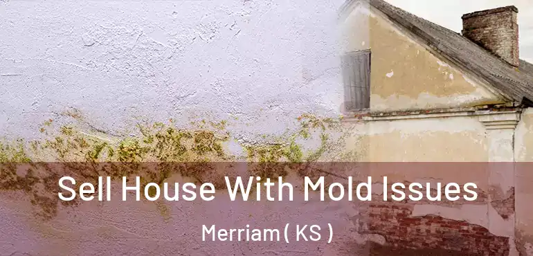  Sell House With Mold Issues Merriam ( KS )