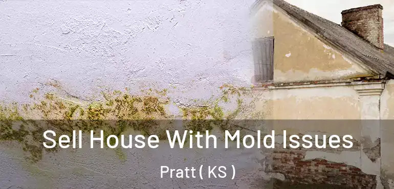  Sell House With Mold Issues Pratt ( KS )