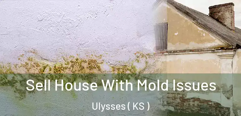  Sell House With Mold Issues Ulysses ( KS )